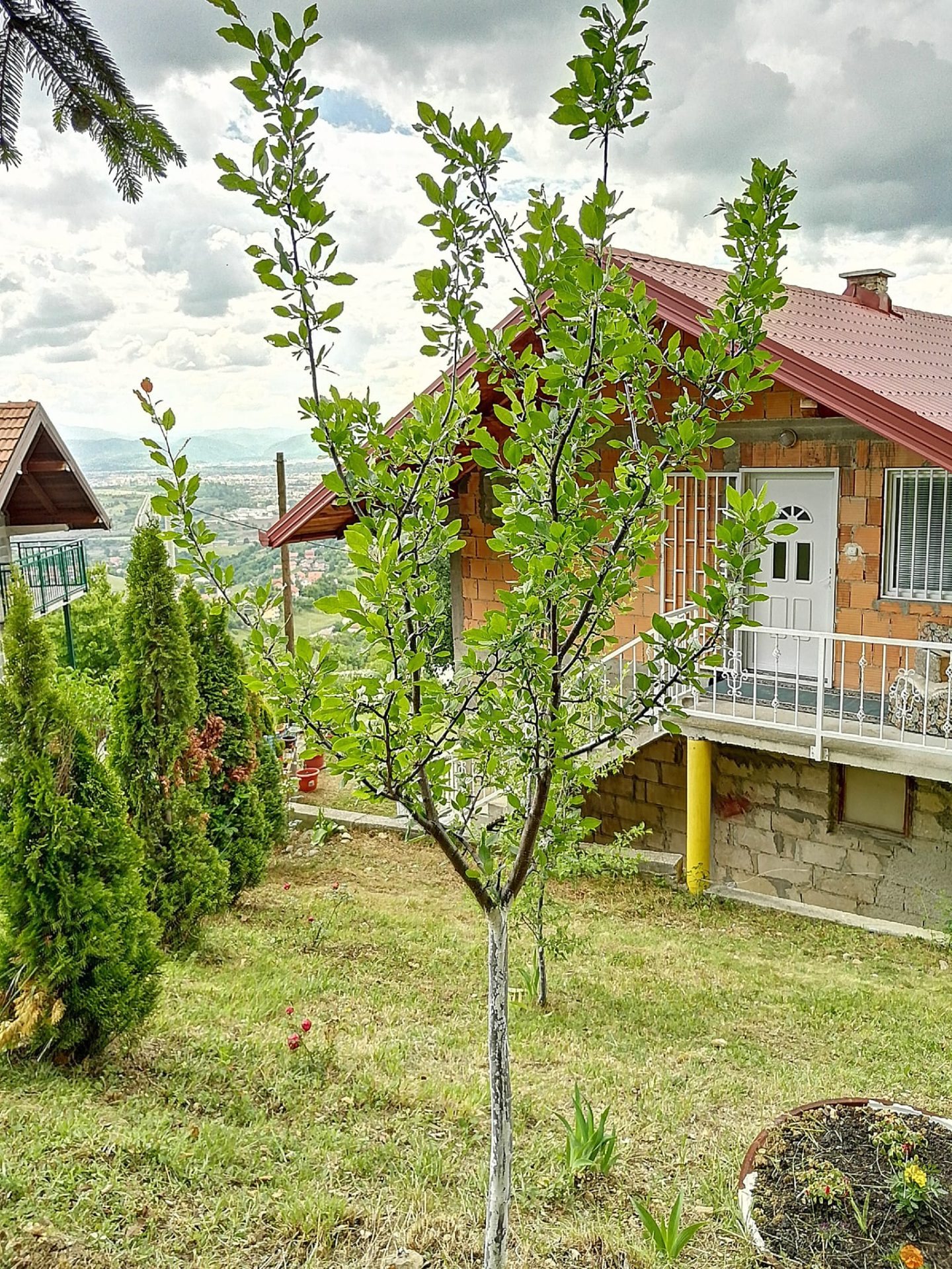 House in Nature – Ahatovići, Sarajevo