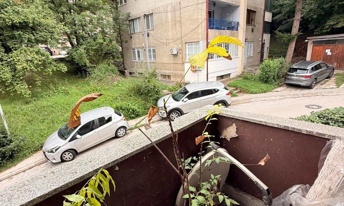 7063ba93-09c2-465f-b4f7-976942e8bd4b