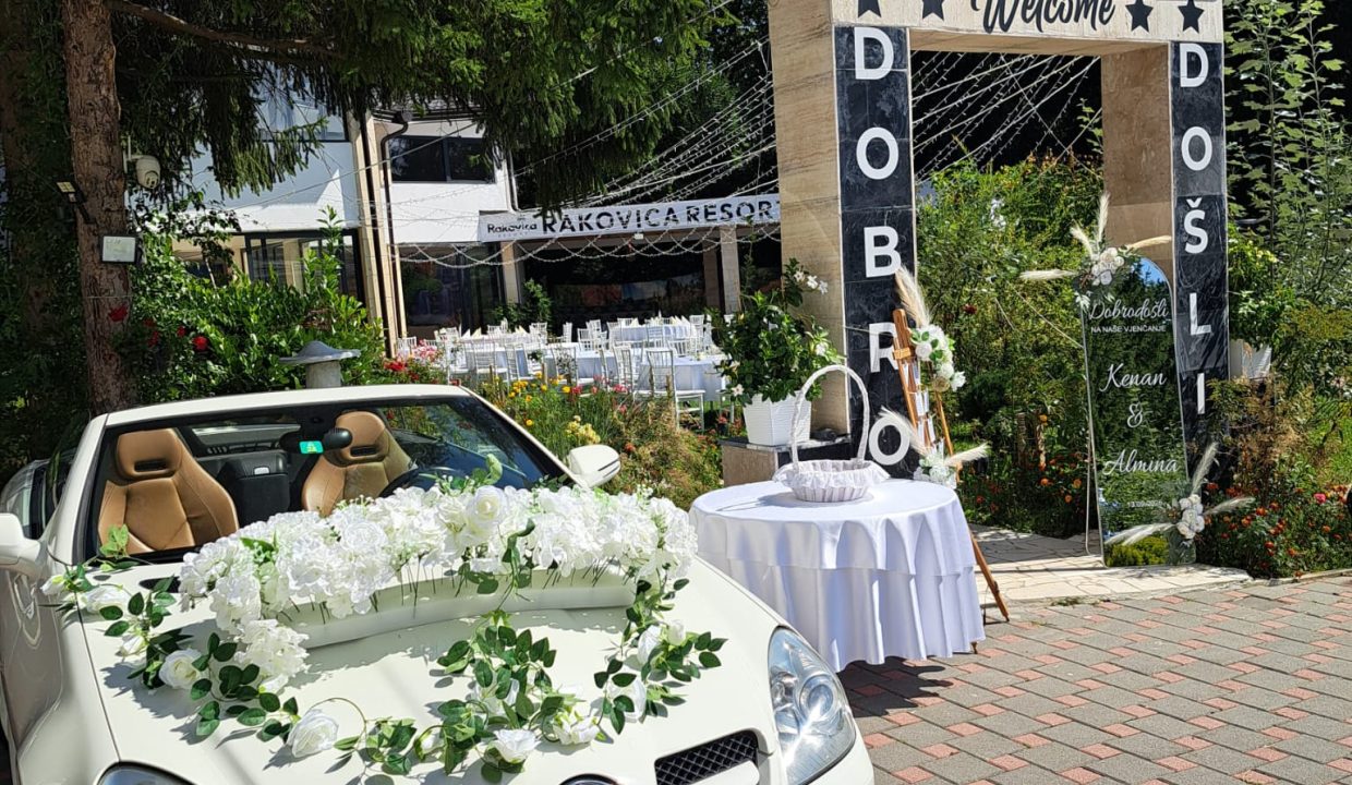 WhatsApp Image 2026-03-10 at 12.15.13 PM